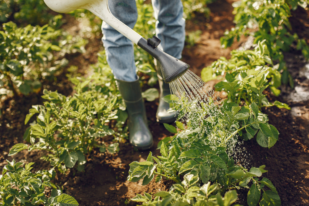 Ce unelte de grădinărit ai nevoie pentru a-ți îngriji și amenaja grădina sau balconul